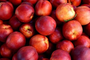 nectarines